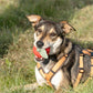 BUDDY. Hundespielzeug aus Wollfilz Apfel