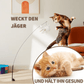 KATZEN ABENTEUER SET - Spaß und Gesundheit
