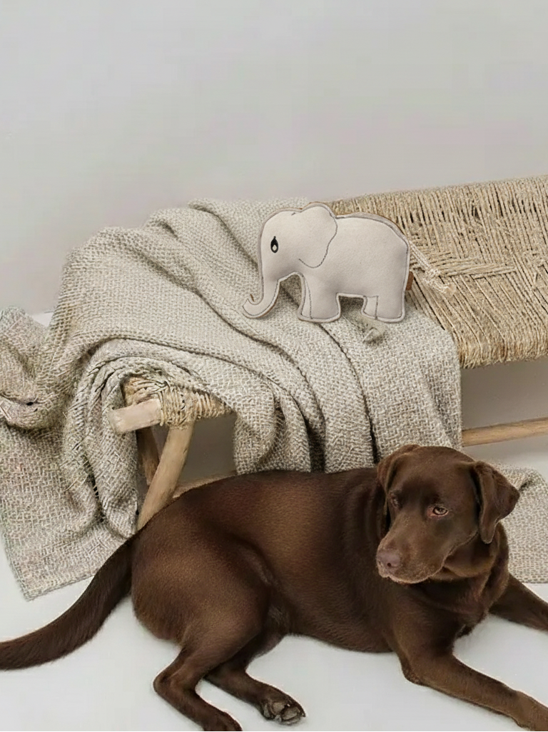 BUDDY Elefant – Hundespielzeug aus Leder