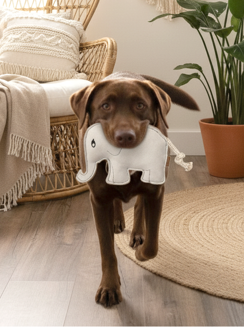 BUDDY Elefant – Hundespielzeug aus Leder
