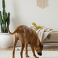 BUDDY. Hundespielzeug aus Leder Giraffe