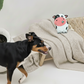 BUDDY Kuh – Hundespielzeug aus Leder