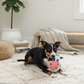 BUDDY Kuh – Hundespielzeug aus Leder