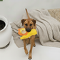 BUDDY. Hundespielzeug aus Leder Löwe