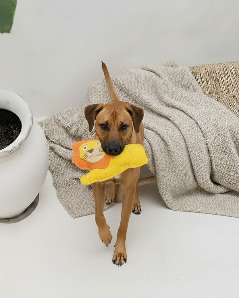 BUDDY. Hundespielzeug aus Leder Löwe