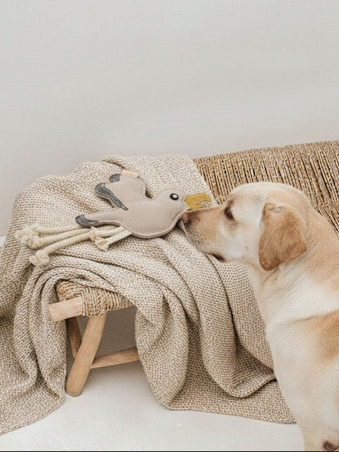 BUDDY. Hundespielzeug aus Leder Möwe