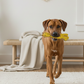 BUDDY. Hundespielzeug aus Leder Giraffe