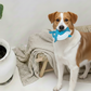 BUDDY. Hundespielzeug aus Leder Wal