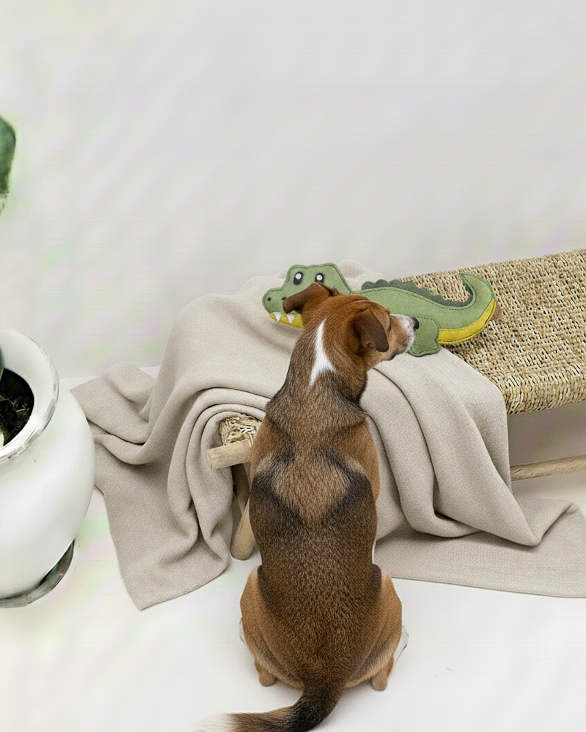 KLEINES KROKODIL BUDDY. Hundespielzeug aus Leder - natürliche Materialien ohne Quietscher - nachhaltig