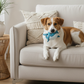 BUDDY. Hundespielzeug aus Leder Wal