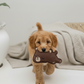 BUDDY Kleiner Bär – Hundespielzeug aus Leder