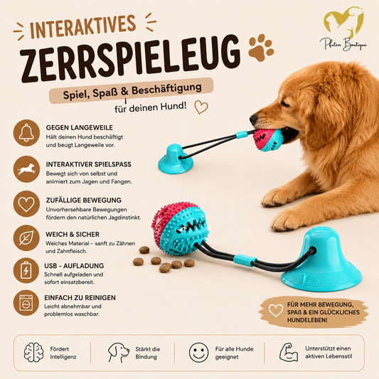 Zerrsaugnapf Hundespielzeug – Zerrspielzeug mit Saugnapf