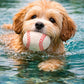 BASEBALL BUDDY. Hundespielzeug aus Schafwolle - natürlich und schwimmfähig