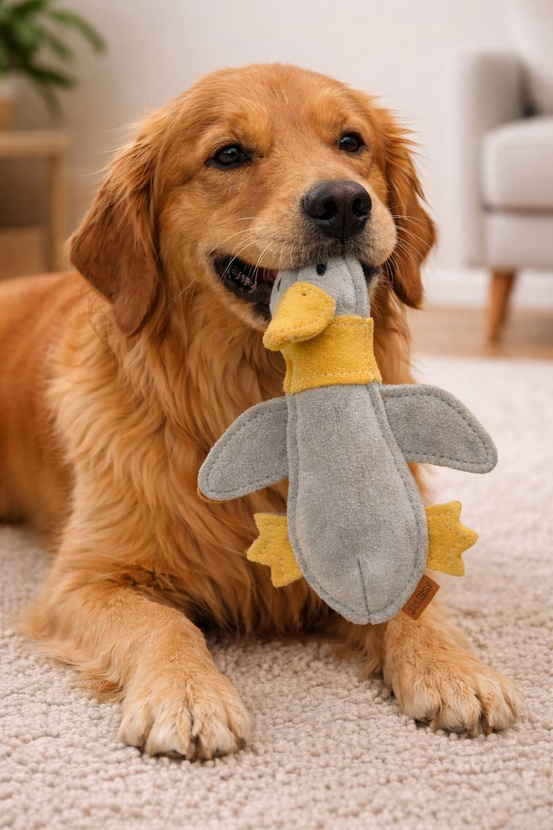 KLEINE ENTE BUDDY. Hundespielzeug aus Leder - Handmade langlebig - 100% natürlich