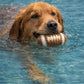 BUDDY Football – Hundespielzeug aus Schafwolle