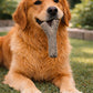 BUDDY Stock – Hundespielzeug aus Wollfilz