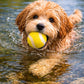 BUDDY Tennisball – Hundeball aus Schafwolle