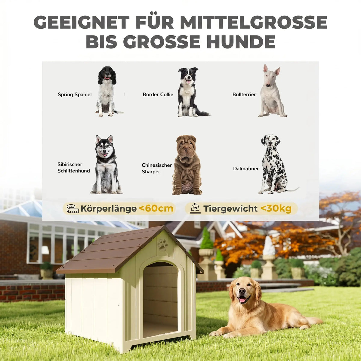 PawHut Hundehütte wetterfest 88 × 79 × 89 cm – Hundehaus bis 30 kg