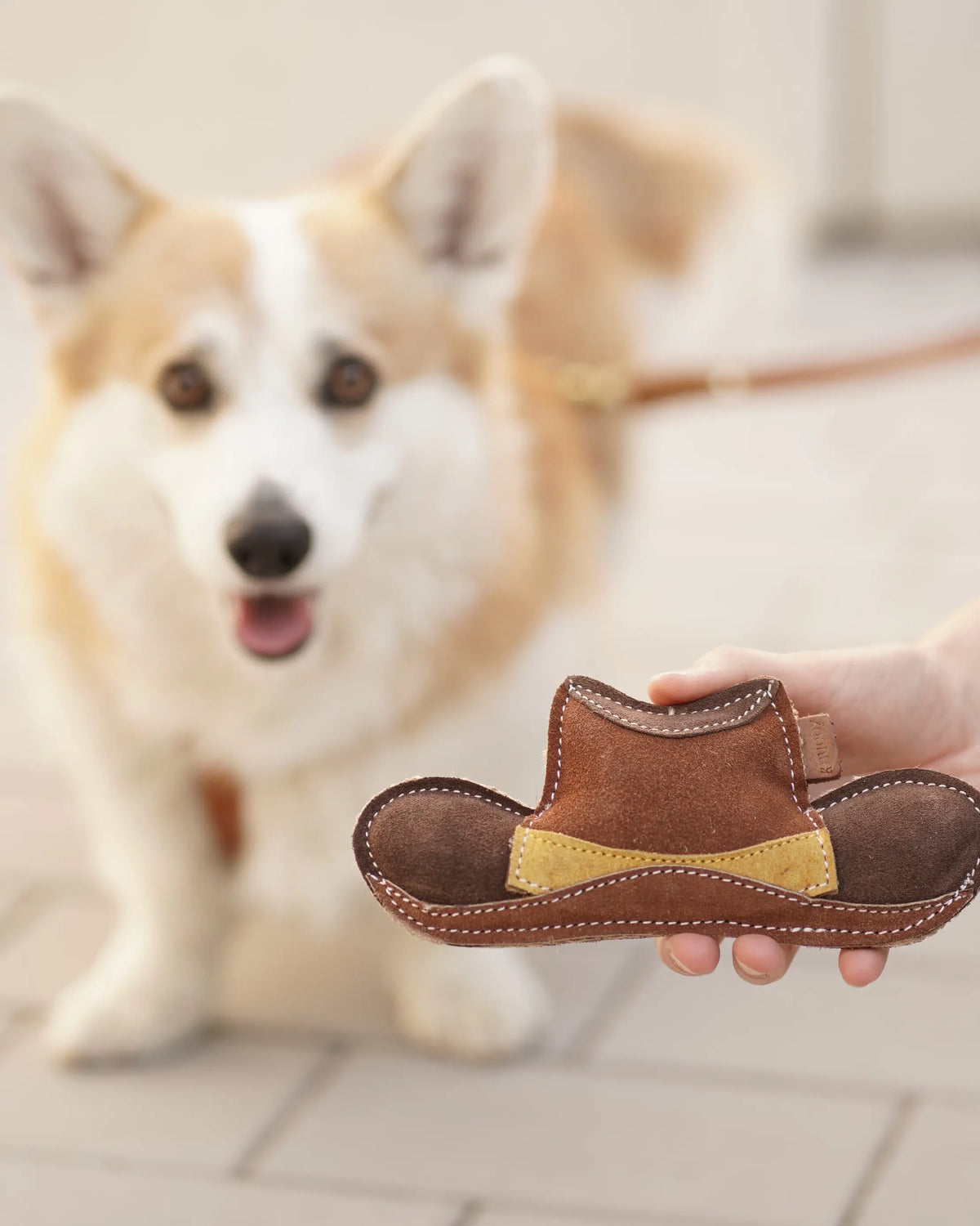 BUDDY Cowboyhut - Hundespielzeug aus Leder