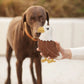 BUDDY Adler - Hundespielzeug aus Leder