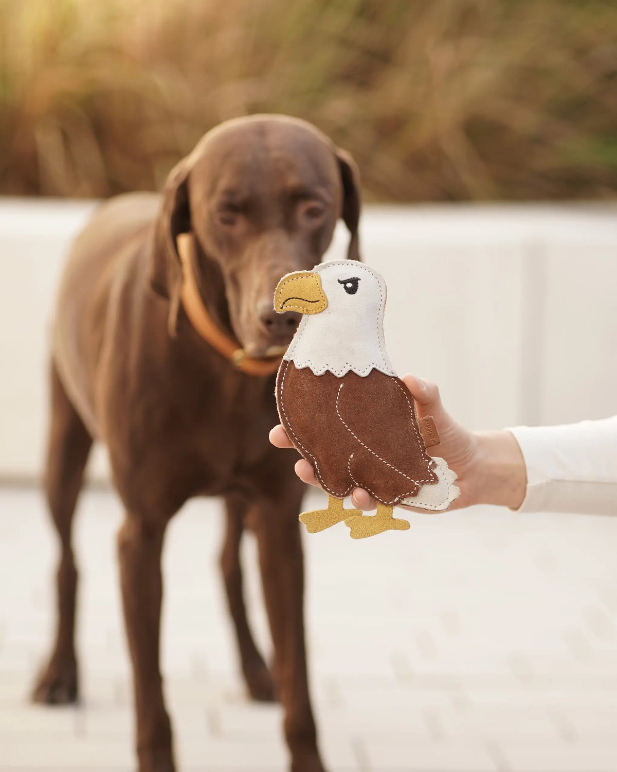 BUDDY Adler - Hundespielzeug aus Leder
