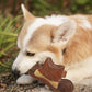 BUDDY Cowboyhut - Hundespielzeug aus Leder