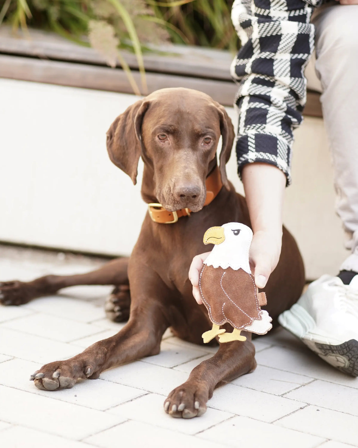 BUDDY Adler - Hundespielzeug aus Leder