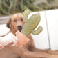 BUDDY Kaktus - Hundespielzeug aus Leder