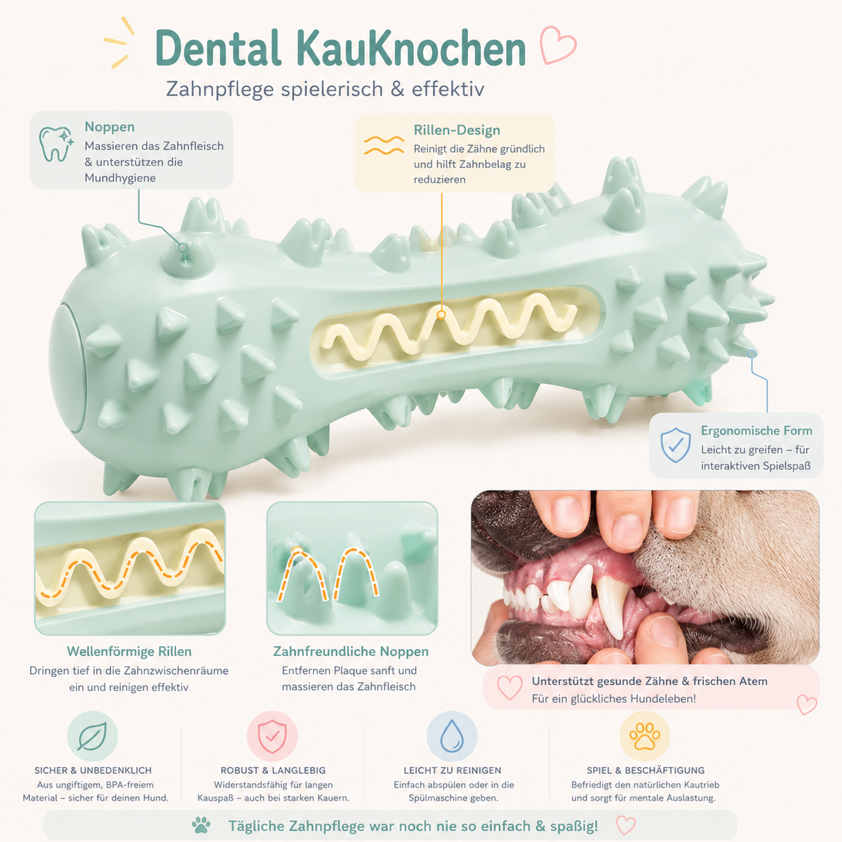 Dental-Kauknochen für Hunde – Kauspielzeug zur Zahnpflege