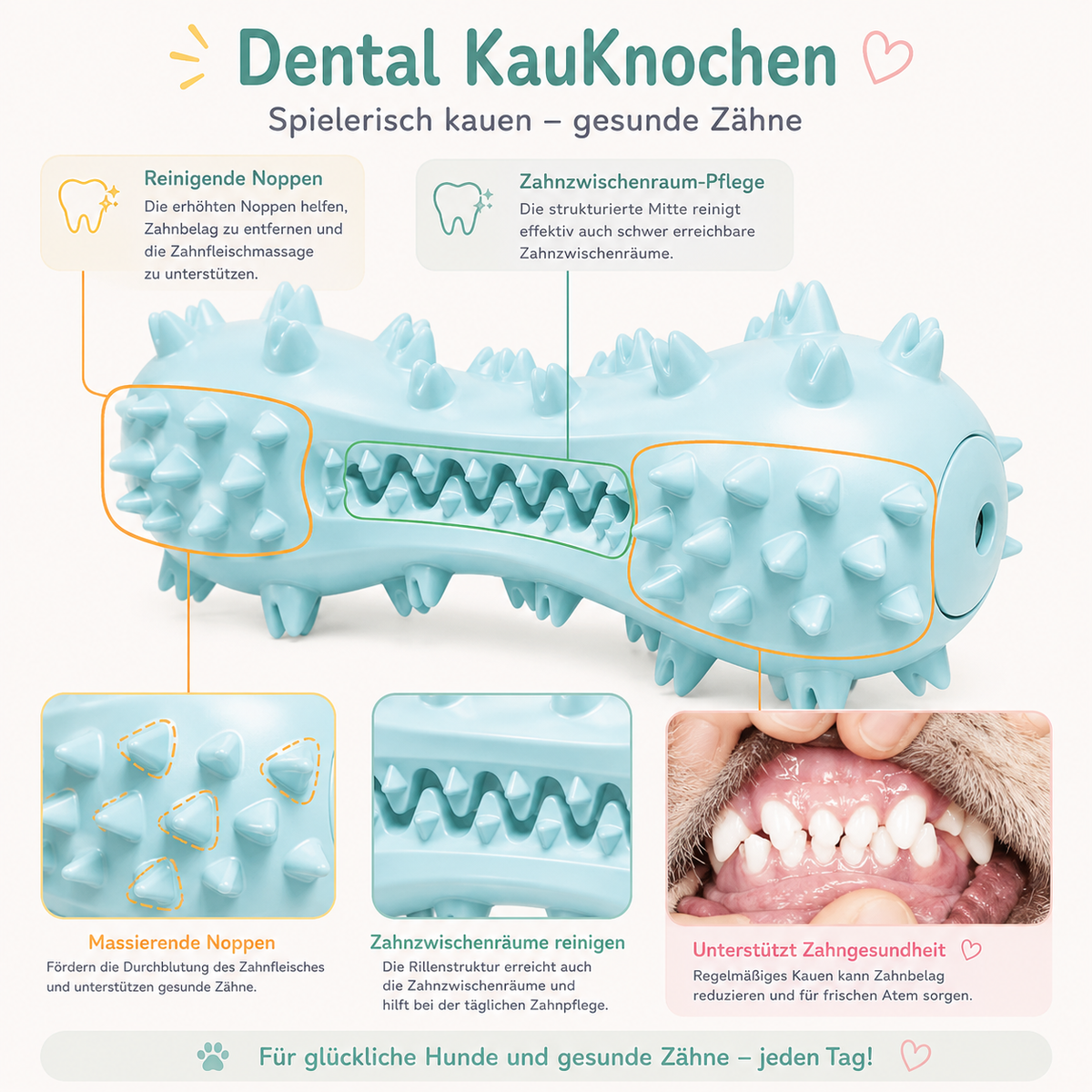 Dental-Kauknochen für Hunde – Kauspielzeug zur Zahnpflege