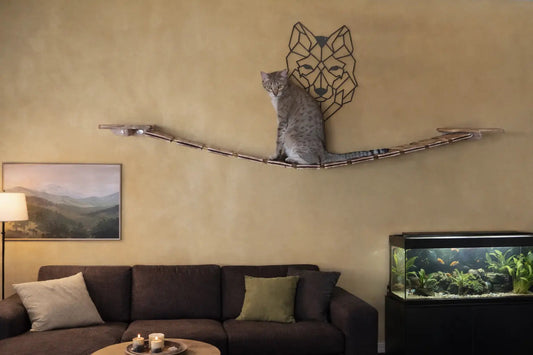 Wandpark klein natur - Kletterpark für Katzen