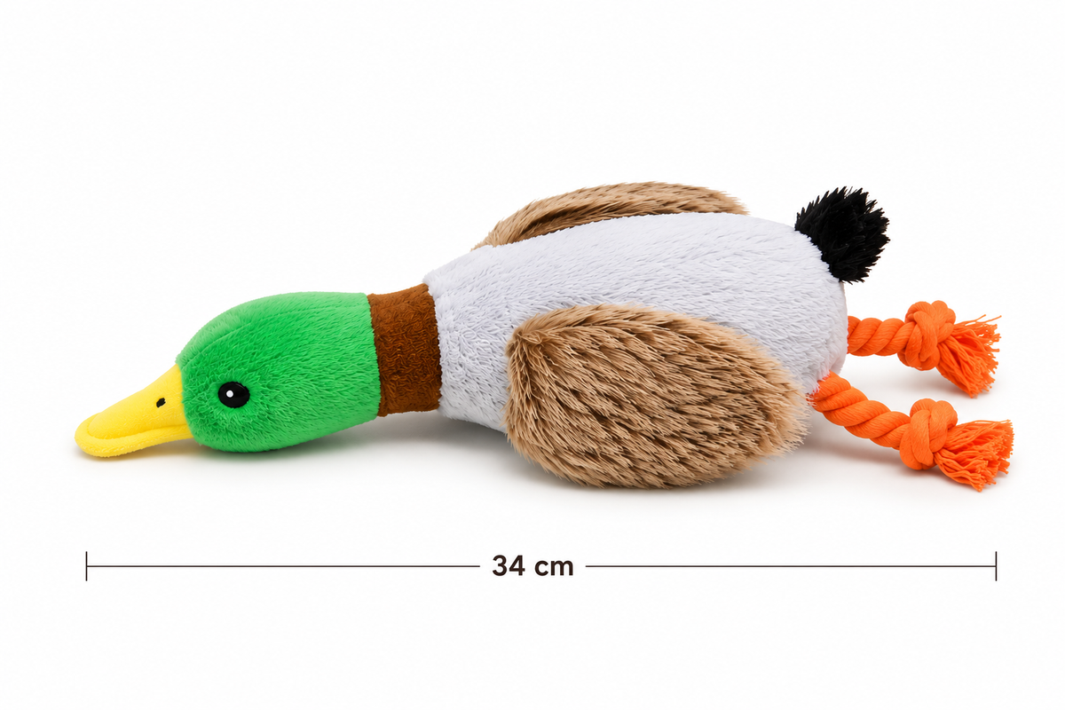 Flauschquaker Hundespielzeug – Plüschtier mit Quietscher