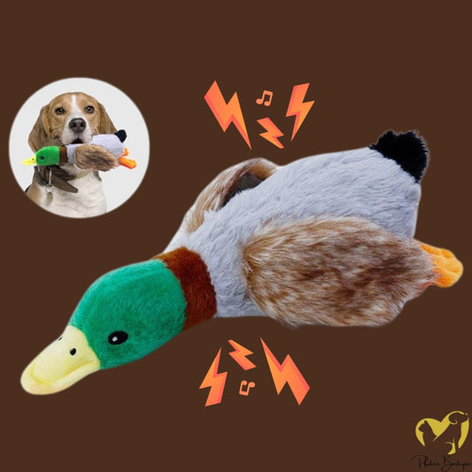 FLAUSCHQUAKER HUNDESPIELZEUG - extra stark, haltbar & beruhigend