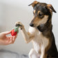 BUDDY. Hundespielzeug aus Wollfilz Erdbeere