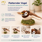 Flatternder Vogel – interaktives Katzenspielzeug