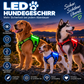 leuchtendes Hundegeschirr - aufladbar - Dein Hund immer Blick