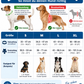 leuchtendes Hundegeschirr - aufladbar - Dein Hund immer Blick