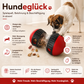 HUNDE GLÜCK Intelligenzspielzeug – Spielzeug mit Belohnung