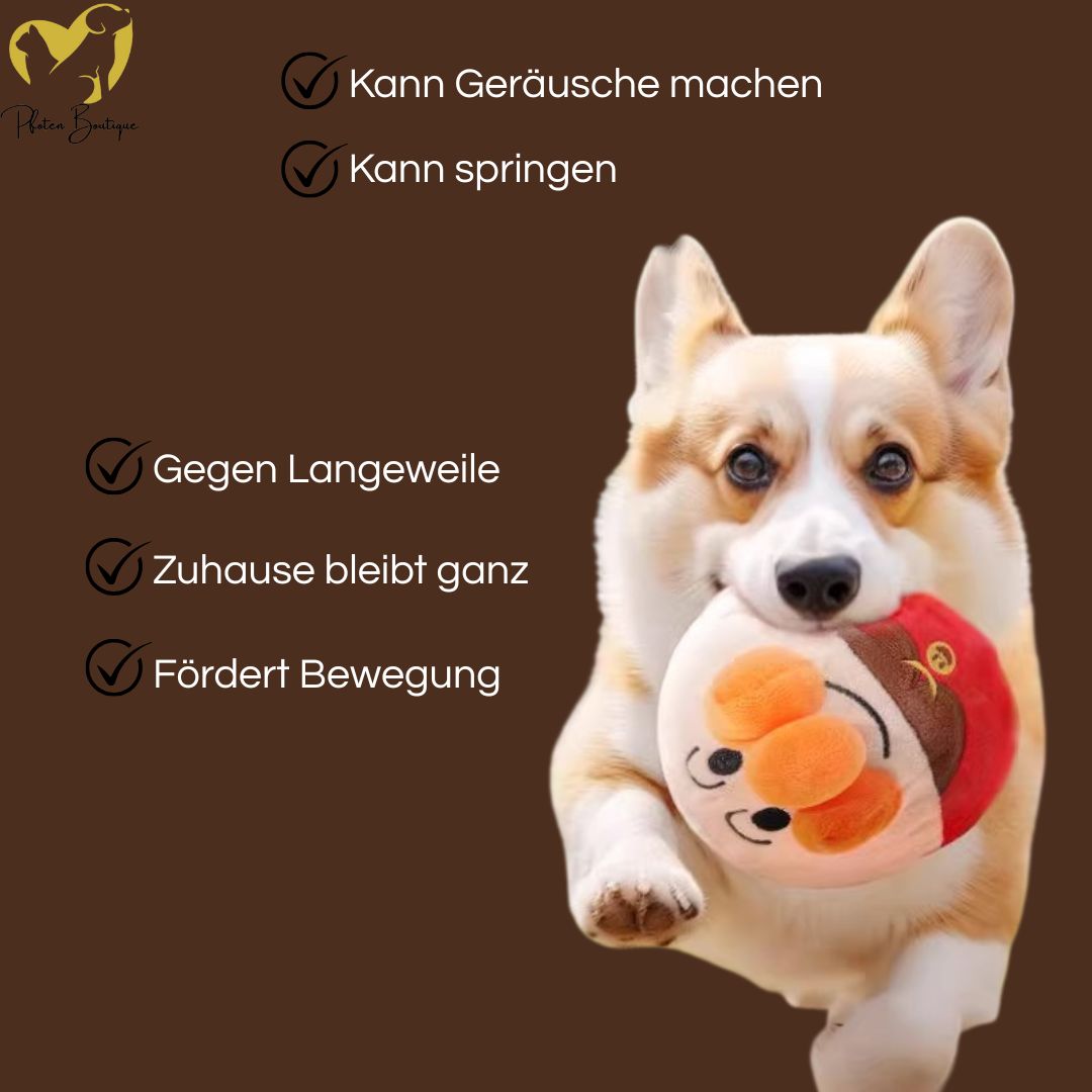 Ein Hund spielt mit dem JUMPING BALL Hundespielzeug interaktiv Springball - Hüpfball für Hunde, fördert Bewegung und Spaß.