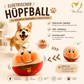 Jumping Ball Hundespielzeug – interaktiver Springball