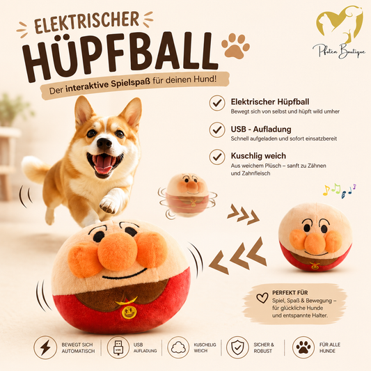 Jumping Ball Hundespielzeug – interaktiver Springball