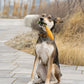 KAROTTE BUDDY. Hundespielzeug aus Wollfilz - natürlich schadstofffrei und ohne Quietscher
