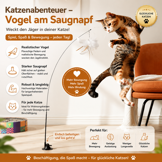 Katzenabenteuer – interaktives Katzenspielzeug mit Saugnapf