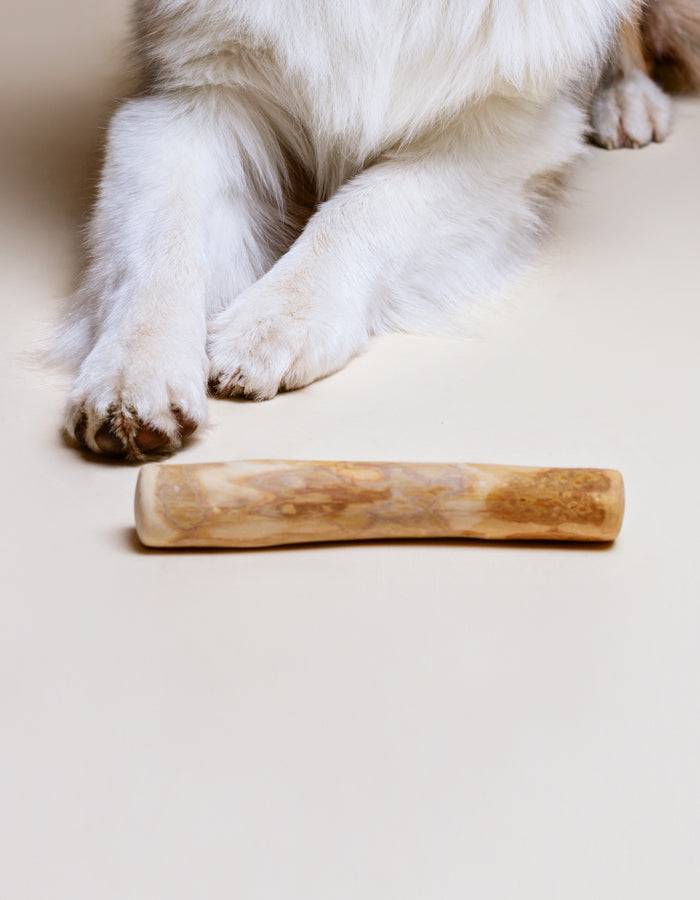Natur KAFFEEHOLZ Kaustock in der Größe S bis XL für deinen Hunde