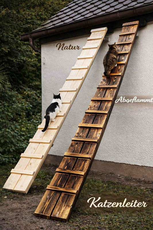 Katzenleiter 388 cm – sichere Aufstiegshilfe für Deine Katze
