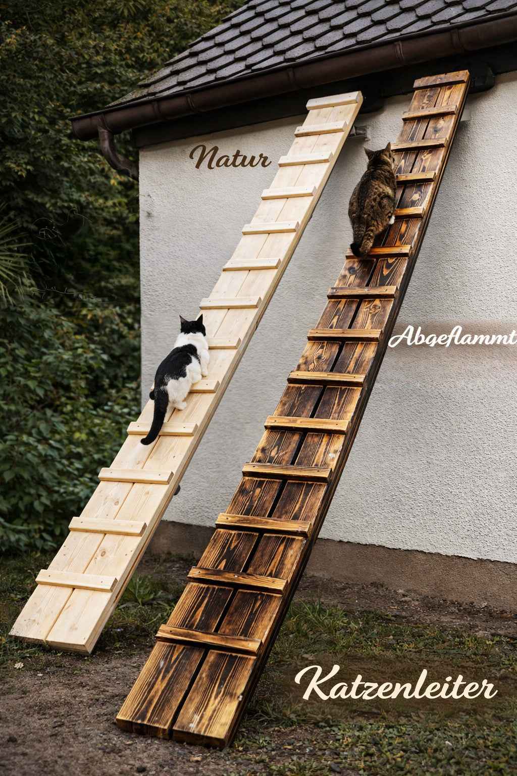 Katzenleiter 479 cm – sichere Aufstiegshilfe für Deine Katze