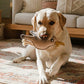 BUDDY. Hundespielzeug aus Leder Möwe