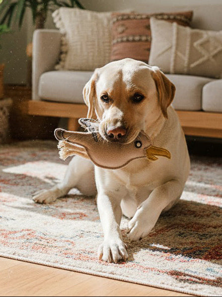 BUDDY. Hundespielzeug aus Leder Möwe