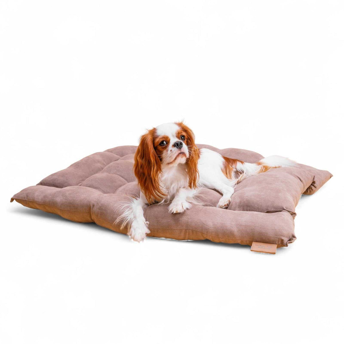 Leichte, waschbare 3in1 Hundematte - Hundekissen Hundebett