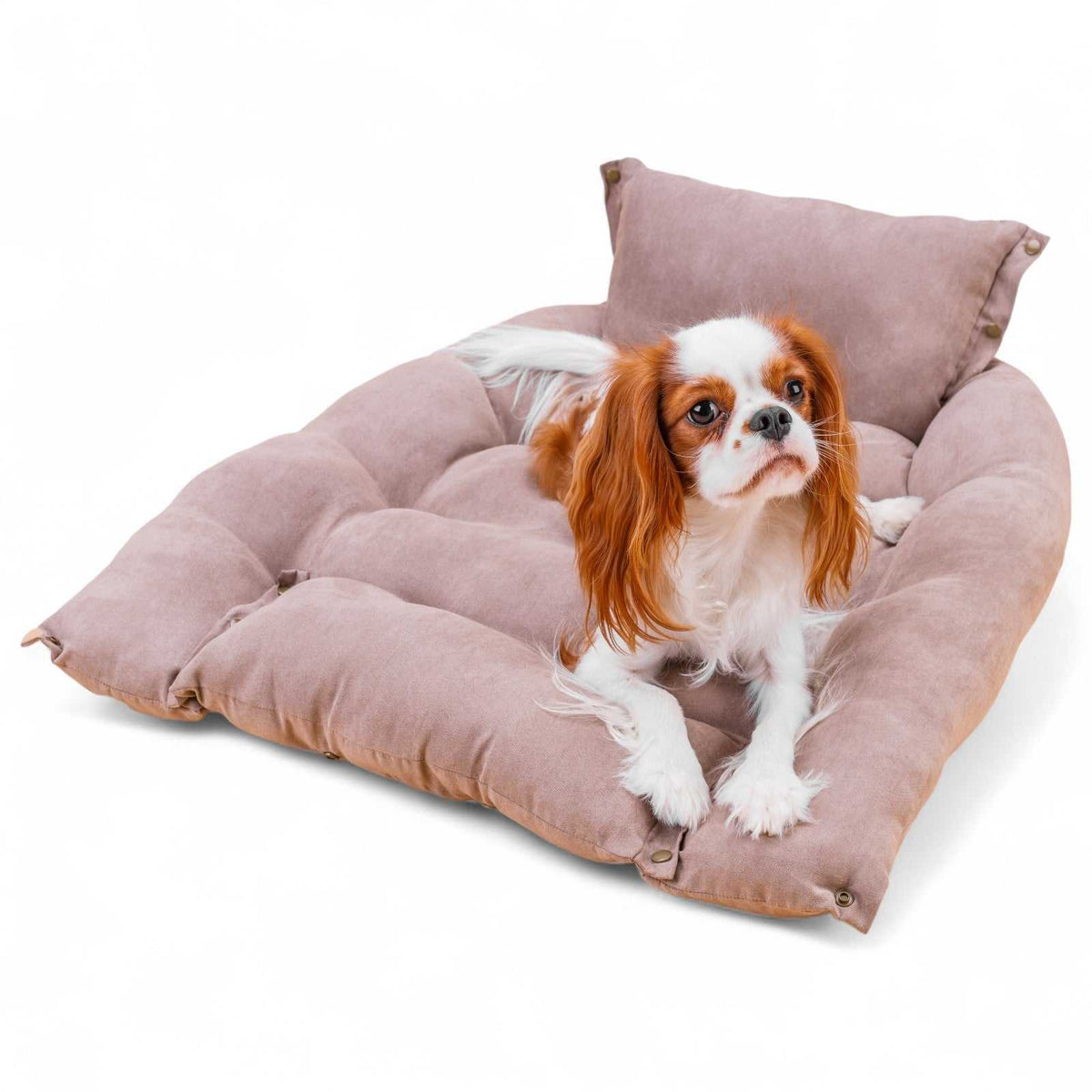Leichte, waschbare 3in1 Hundematte - Hundekissen Hundebett